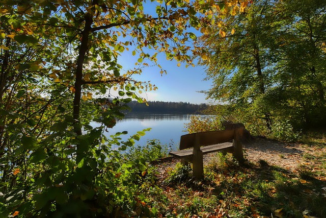 通过一记精 通过一记精