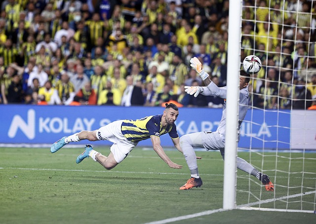 W更合适 W更合适