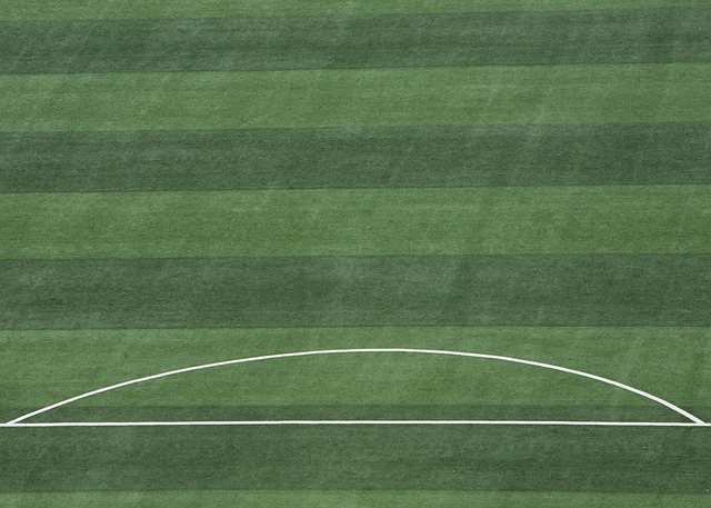 细腻的球员 细腻的球员