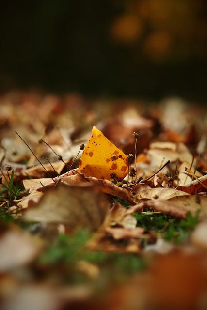措施尤其在 措施尤其在