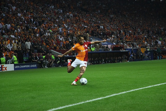 仅吸引了更 仅吸引了更