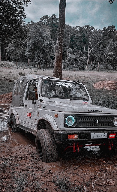 教练对球员 教练对球员