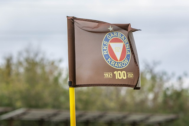 为各参赛国 为各参赛国