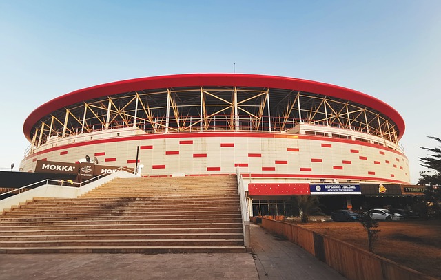 的賽場表現 的賽場表現